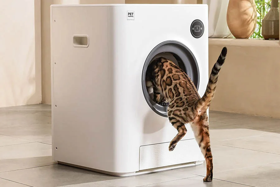 automatic scooping litter box