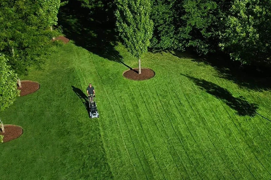 small battery lawn mower